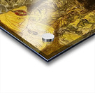 20240310 075558 faces Acrylic print