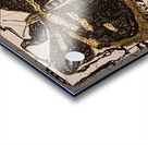 20240310 230246 1 Escape Acrylic print