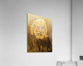 20231118 205123 1 Insight Acrylic Print