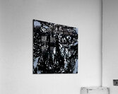 20230322 080803 her world within a world Acrylic Print