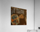 20240611 214548 Light from the Universe Acrylic Print