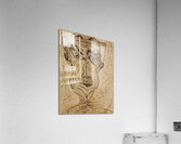 20250223 194822 Tuned in tuned out Acrylic Print