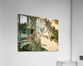 20240228 193723 secret garden Acrylic Print