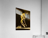 20231110 003444 1 winter dreams Acrylic Print