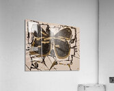 20240310 230246 1 Escape Acrylic Print