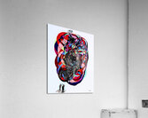 20230521 151437 2 Universe Acrylic Print