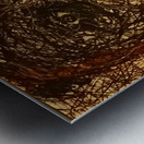 20240320 070822 She sees through web Metal print