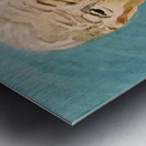 20240322 202355  Biden 2024 Blue Metal print