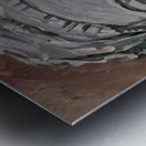 20240524 164036 Deep Beauty Metal print