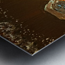 20240611 214548 Light from the Universe Metal print