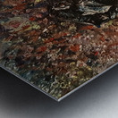 20231207 233010 crow Metal print