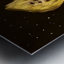 20231110 003444 1 winter dreams Metal print