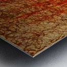 20221120 211104 group in the woods Metal print