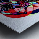 20230521 151437 2 Universe Metal print