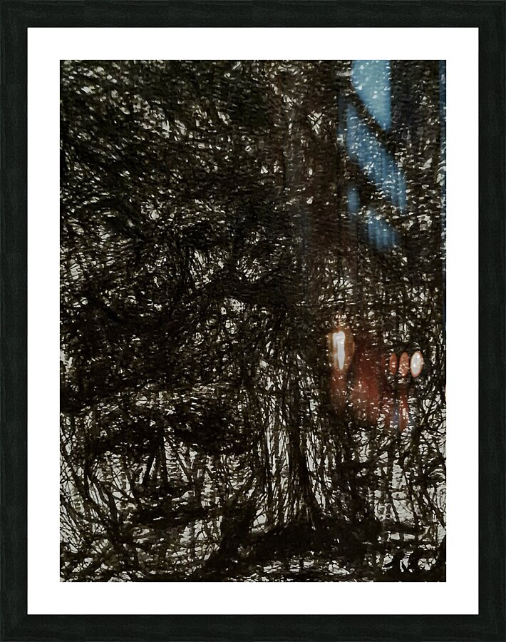 20241119 233236 Forest seeing in the Night Picture Frame print