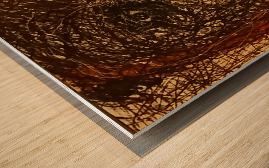 20240320 070822 She sees through web Wood print