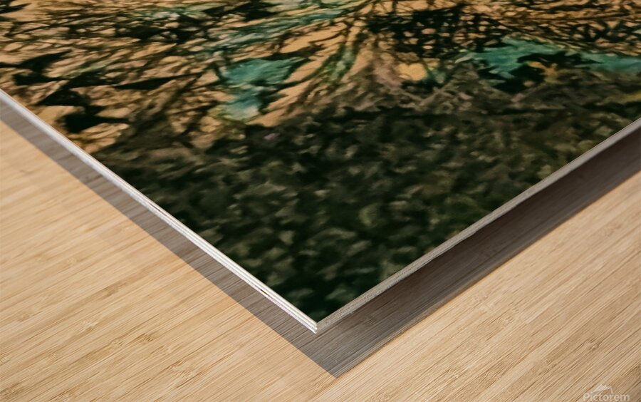 20240228 193723 secret garden Wood print