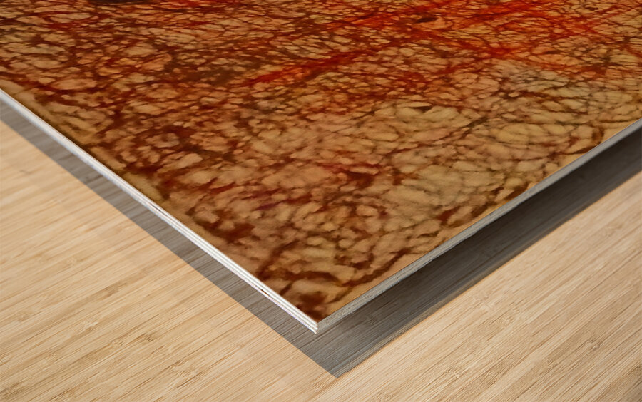 20221120 211104 group in the woods Wood print