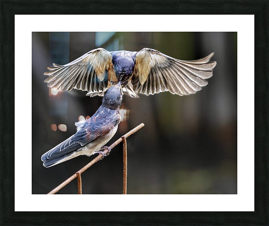 Passing the Future Picture Frame print
