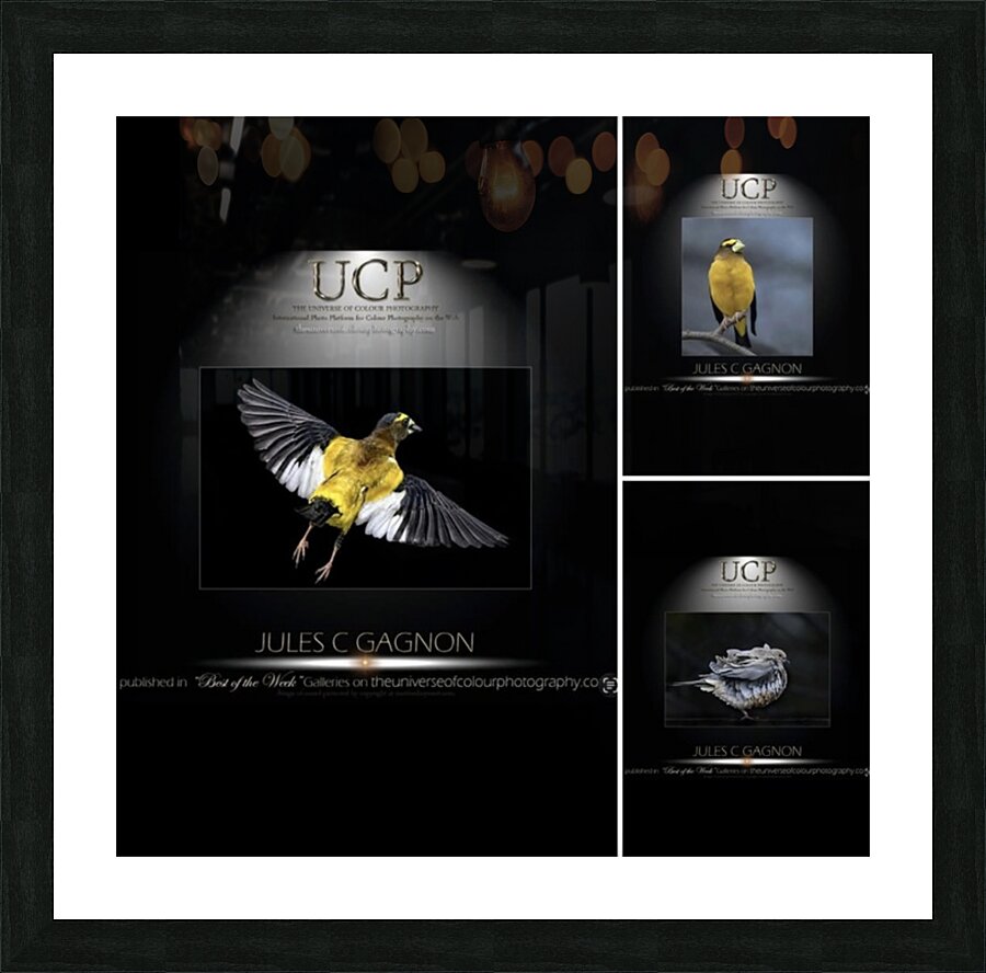 Weekly award Picture Frame print