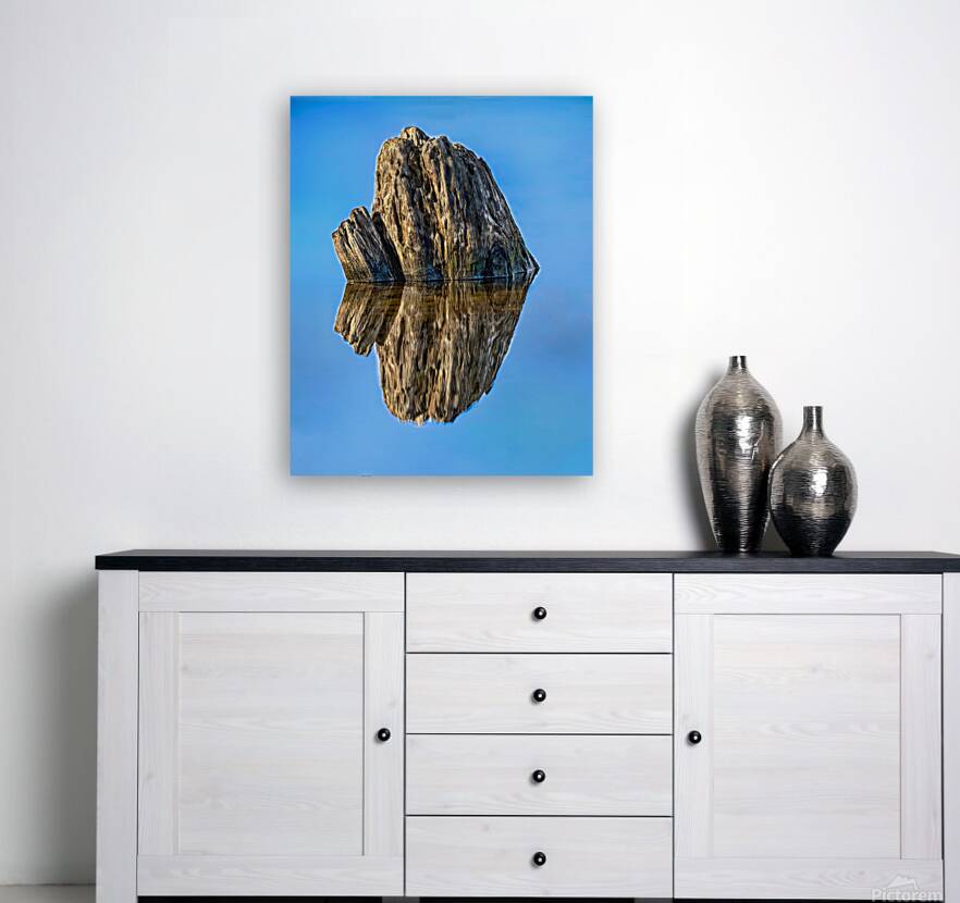 Stump Water Reflection Reproduction