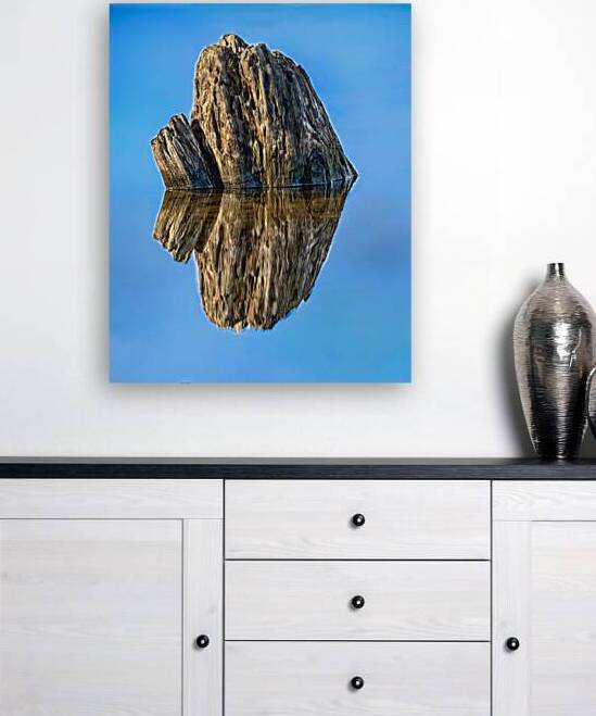 Stump Water Reflection by Jules Claude Gagnon