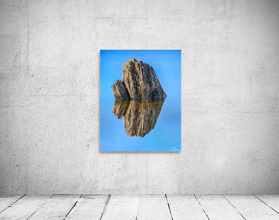 Stump Water Reflection Wall Preview