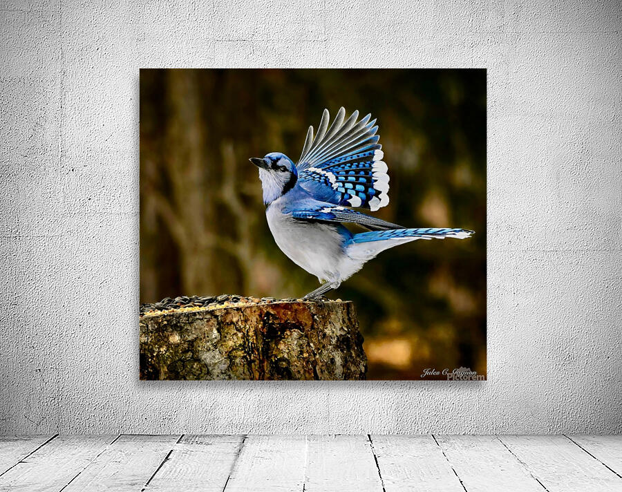 Blue Jay Victory Dance Wall Preview