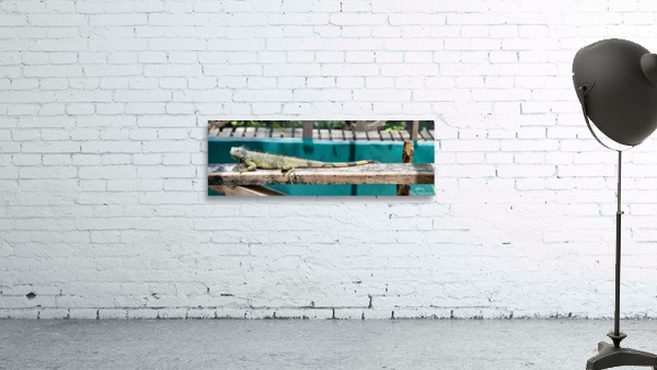 Green Iguana 3x1 Wall Preview