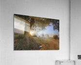 IMG 1328H Acrylic Print