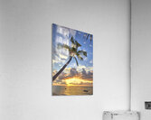 IMG 8689H Acrylic Print