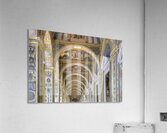 IMG 8991H Acrylic Print