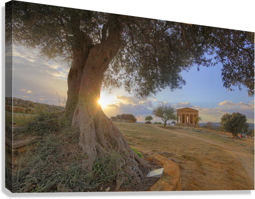 IMG 1328H Canvas Print