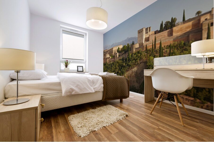 SP cordoba4 Mural print