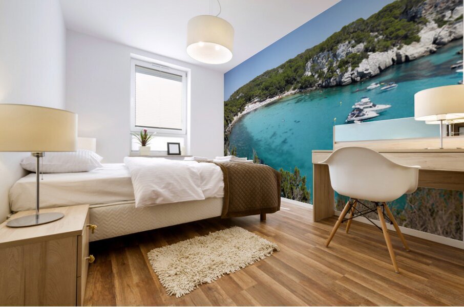 SP Minorca1 Mural print