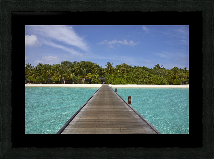4X5A5367 Picture Frame print