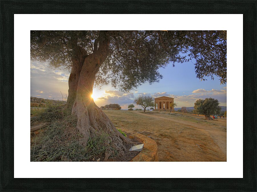 IMG 1328H Picture Frame print