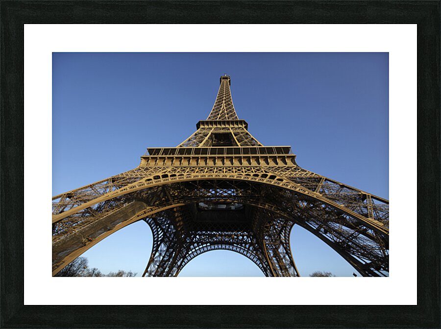 IMG 2723 Picture Frame print