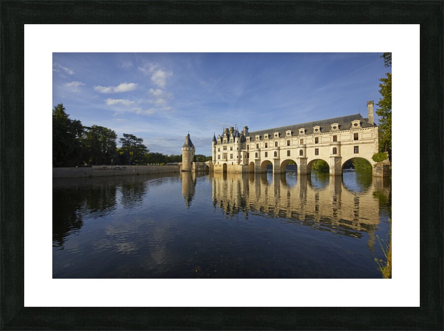 4X5A5019 Picture Frame print