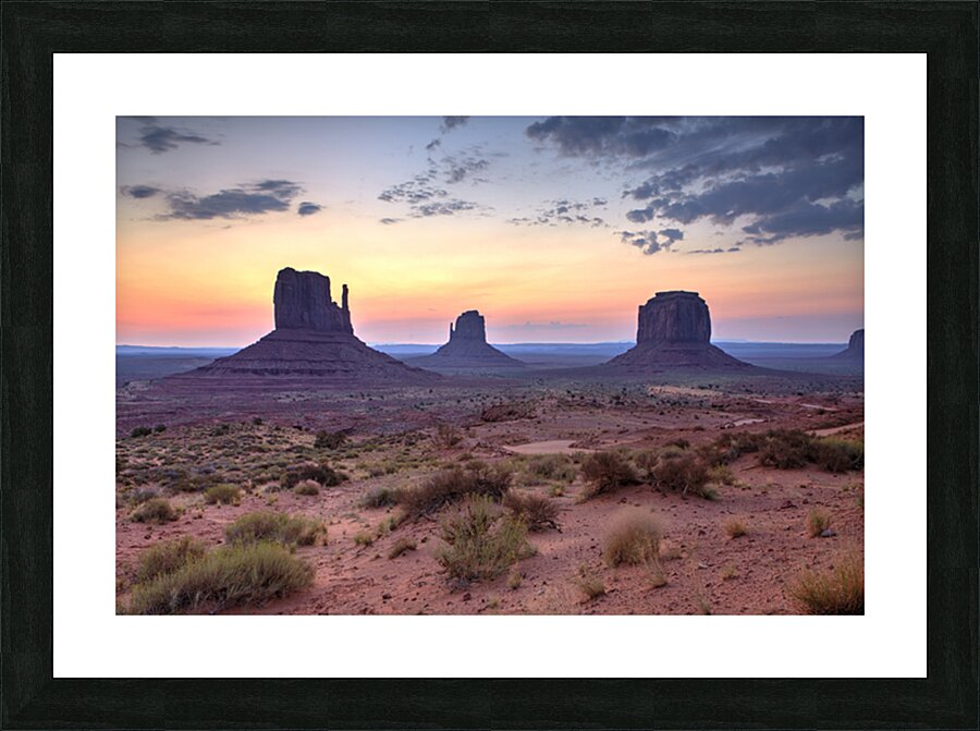 IMG 9919H Picture Frame print