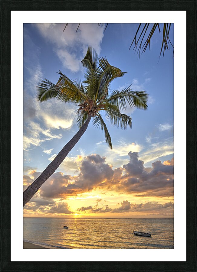 IMG 8689H Picture Frame print