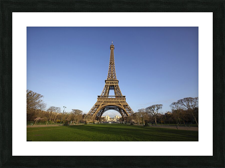 IMG 2742 Picture Frame print