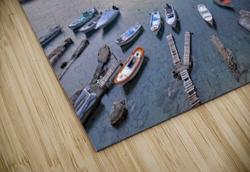 4X5A8570H Massimo Pizzotti puzzle