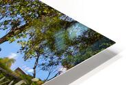 IMG 8503 HD Metal print