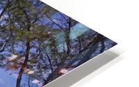 IMG 7898 HD Metal print