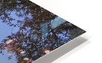 IMG 1328H HD Metal print