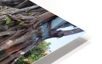 MG 3911 HD Metal print