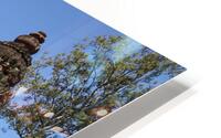 MG 3825 HD Metal print
