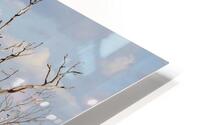 MG 3990 HD Metal print