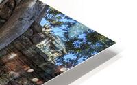 MG 3657H HD Metal print